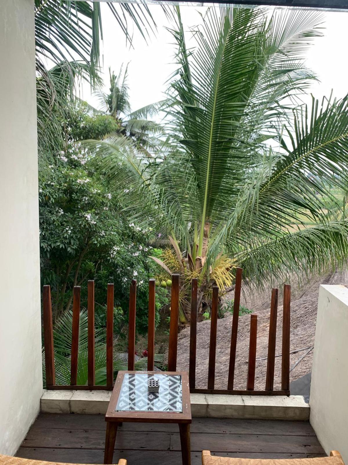 Campo de férias Ila
